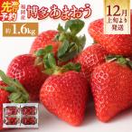 いちご あまおう 約270g×6パック