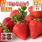 いちご あまおう 約270g×8パック