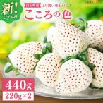 こころの色 220g×2パック