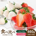 こころの色 いちごさん いちご IBJ022