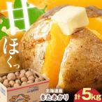 じゃがいも 男爵芋 5kg