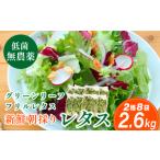 fu.... налог нет пестициды утро .. оборка lettuce зеленый leaf lettuce 2 вид 8 пакет 2.6kg | lettuce .... еда .... свежий lettuce нет пестициды овощи прямой.. Hyogo префектура Tanba . гора город 