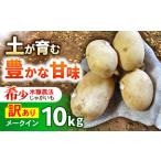 訳ありジャガイモ あいゆたか 10kg