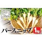 A1-5712 パースニップ 1kg