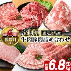 牛肉 豚肉 詰め合わせ 総量約6.8kg以上