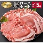 豚肉 豚ロース バラエティー セット 合計1.5kg