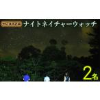 やんばるの森 ナイトネイチャーウォッチ 2名様