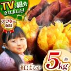 さつまいも TVで紹介 甘くておいしい 紅はるか 5kg