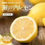 レモン 瀬戸内 レモン小箱 約2.5kg