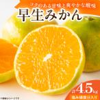 早生みかん 計4.5kg