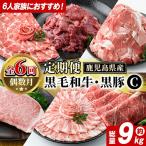 6人家族用 黒毛和牛 黒豚 定期便 C 総量約9kg
