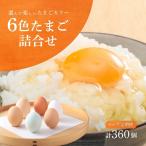 卵 6色たまご 詰め合わせ 卵60個×6回 食べ比べ