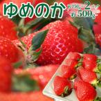 いちご ゆめのか 250g×2パック