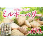 日光産 白いちご ミルキーベリー 約300g×2パック