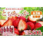 日光産 とちあいか定期便 毎月お届け 約1 200g×3回