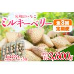 日光産 ミルキーベリー定期便 毎月お届け