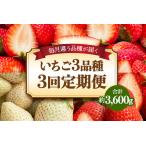 日光産のいちご3品種定期便 毎月1品種
