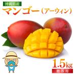 宮平農園のマンゴー1.5kg