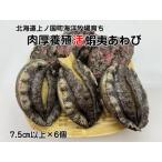 ふるさと納税 海洋牧場育ち養殖活蝦夷あわび（7.5cm以上×6個）　活アワビ　鮑　海鮮　産地直送　魚介類　海の幸　おせち　エゾアワビ　冷.. 北海道上ノ国町