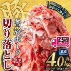 鹿児島 曽於ポーク 切り落とし 計4.0kg