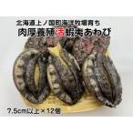 ふるさと納税 海洋牧場育ち養殖活蝦夷あわび（7.5cm以上×12個）　活アワビ　鮑　海鮮　産地直送　魚介類　海の幸　おせち　エゾアワビ　.. 北海道上ノ国町