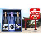 C3-25123 大海酒造 720ml