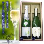 山梨の泡 飲み比べセット 甲州&リンゴ 135-014