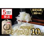 令和6年産 コシヒカリ 白米10kg 21-13