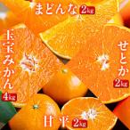 ショッピング甘平 ふるさと納税 【発送月固定定期便】「蜜時(みつどき)便り」愛媛限定のまどんなや甘平も届きます【H64-92】全4回【4069712】 愛媛県八幡浜市