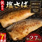 塩サバ 約2.7kg