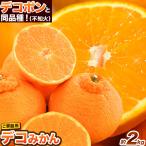 ご デコみかん 約2kg