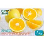 バレンシアオレンジ 5kg+250g 痛み補償分