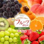 厳選フルーツ詰合せ♪ 3~5品種 果物 旬