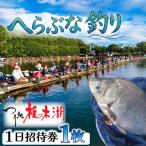 入場券 1枚