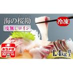 B2-0118 垂水カンパチ 海の桜勘 皮無しロイン 1.4kg以上