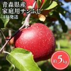 りんご サンふじ5kg