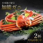加能ガニ 800g前後