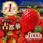 平群の古都華 2L