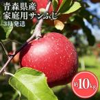 りんご 訳あり サンふじ 10kg