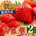 平群の古都華 いちご L 3L
