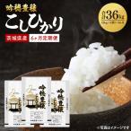 吟穂豊穣こしひかり 6kg