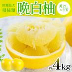 晩白柚 秀2L×2玉 約4kg