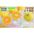 ハウスみかん 0.5kg+250g 傷み補償
