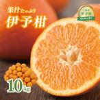 伊予柑 10kg