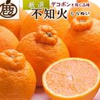 はるみ10kg+250g 傷み補償分