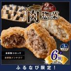 FN-Limited-SP 肉 総菜 2種セット