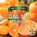 柑橘 定期便 石本果樹園