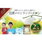 メロン 2玉入り