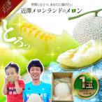ふるさと納税 先行予約 メロン 1玉入(約1.4kg〜1.8kg)青肉 2026年夏発送 期間限定 メロン めろん マスクメロン 舐瓜 果物 くだもの フルーツ .. 高知県土佐市