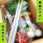 袖ケ浦の大地の恵み 季節のやさい詰め合わせ